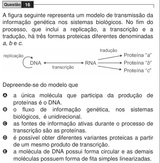 Imagem da questão 16 do ENEM 2009