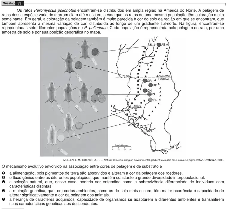 Imagem da questão 33 do ENEM 2009