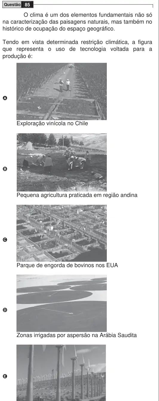 Imagem da questão 85 do ENEM 2009