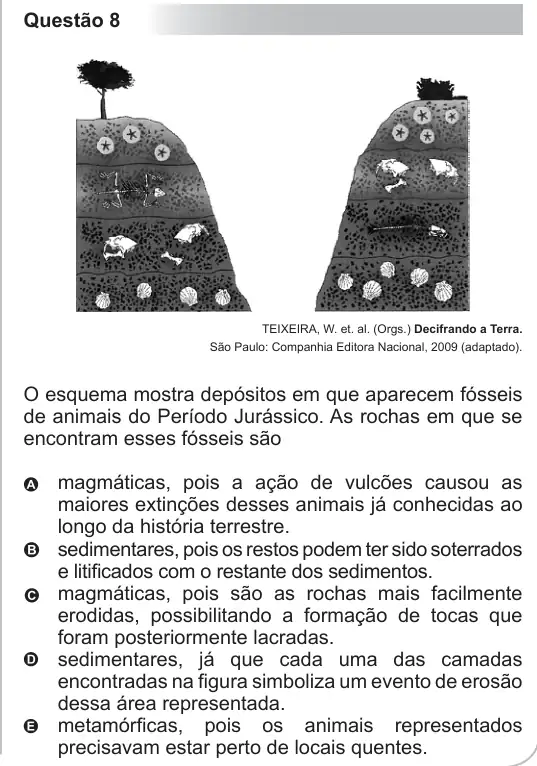Imagem da questão 8 do ENEM 2010