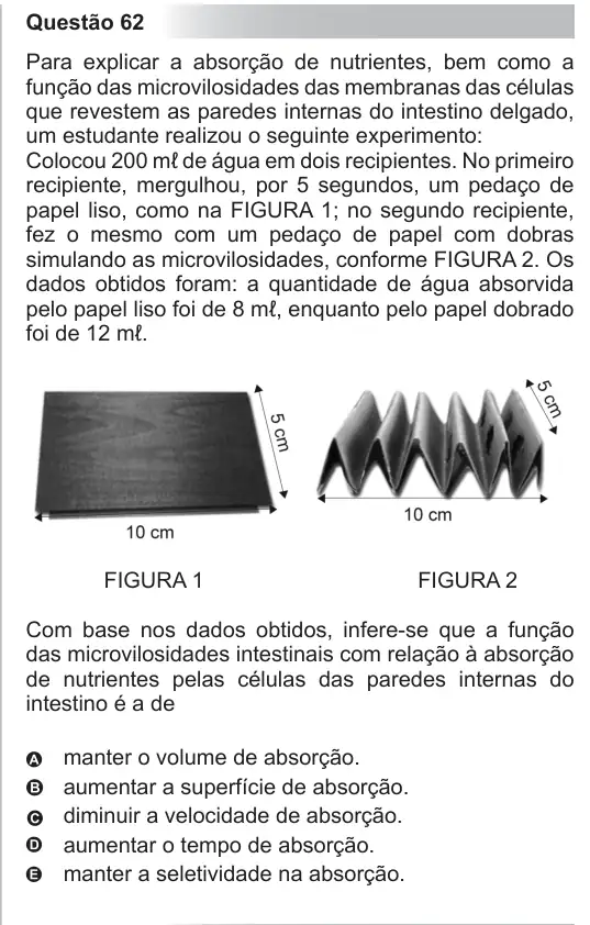 Imagem da questão 62 do ENEM 2010