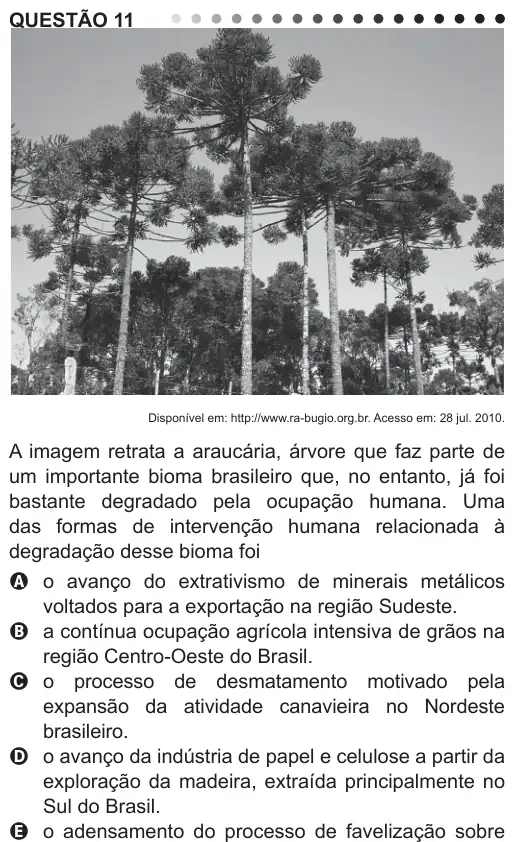 Imagem da questão 11 do ENEM 2011