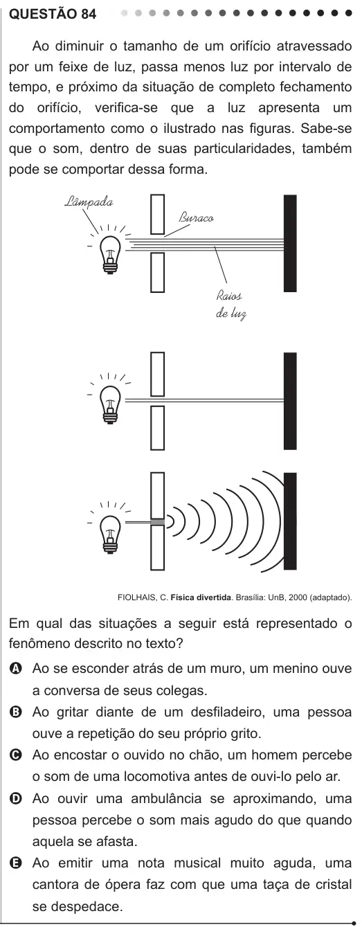Imagem da questão 84 do ENEM 2011