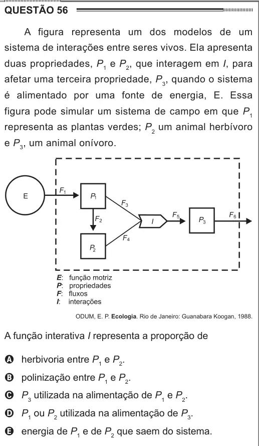 Imagem da questão 56 do ENEM 2012