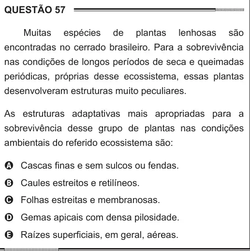 Imagem da questão 57 do ENEM 2012