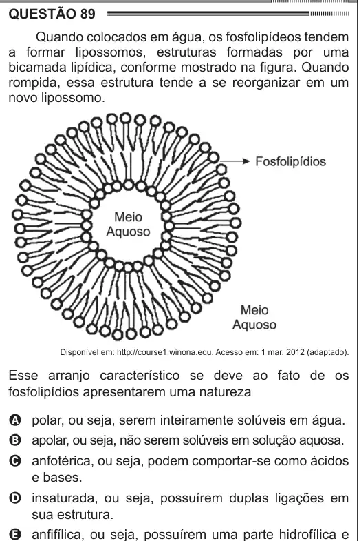 Imagem da questão 89 do ENEM 2012