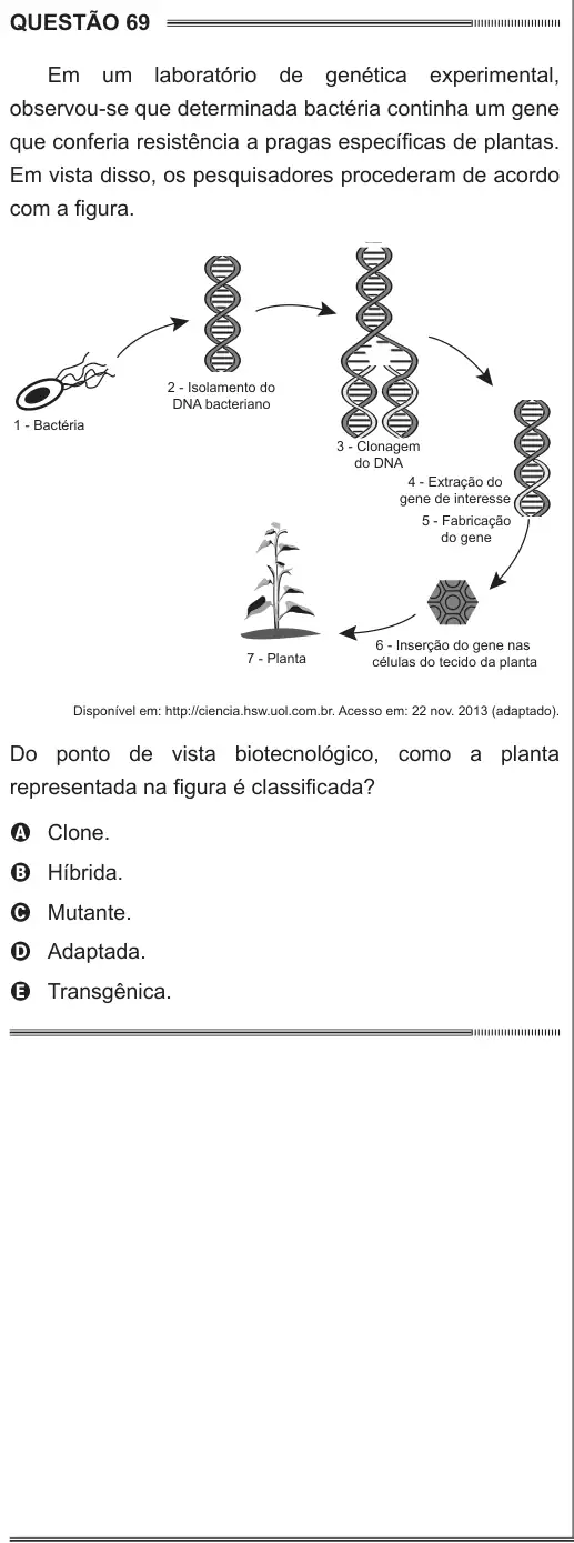 Imagem da questão 69 do ENEM 2014