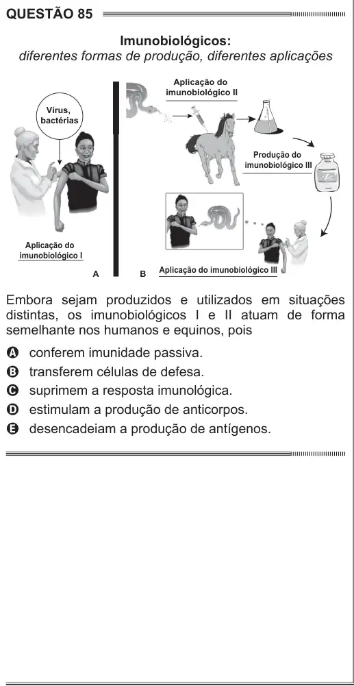 Imagem da questão 85 do ENEM 2014