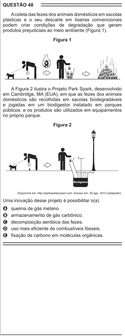 Imagem da questão 48 do ENEM 2016